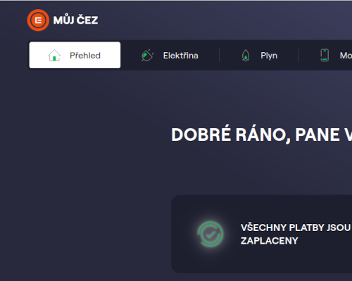 Můj ČEZ perfektní, ale...